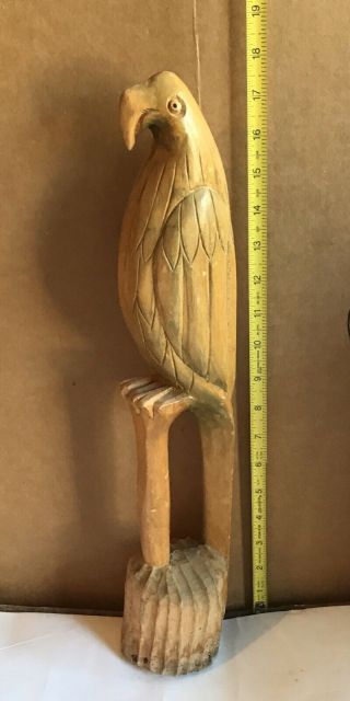 Vintage Antique Carved - Wooden Parrot Bird - 17.  5” Tall