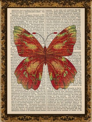 Art Print Vintage Antique Book Page Wall Art - Orange Butterfly