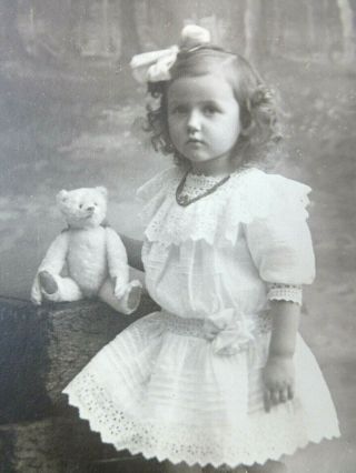 Antique Cdv Cabinet Photo Cute Darling Little Girl W White Steiff Teddy Bear Toy