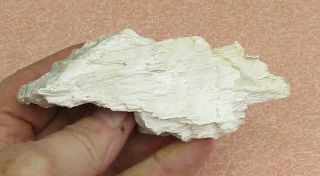 Mineral Specimen Of Fibrous Sepiolite From Stevens Co. ,  Washington