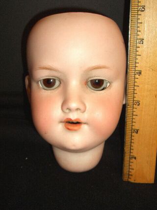 Antique German Bisque Doll Head,  Am / Dark Brown Eyes