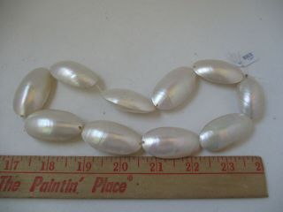 Rare Seashell Mother Of Pearl Horizonte Switzerland 2 Focal Jewelry Beads