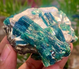 900 C.  T 100 Natural Rare Open Paraiba Blue Cap Tourmaline Crystal Bunch On Mica