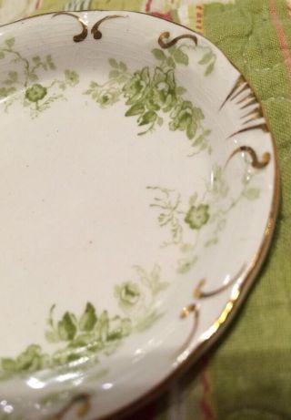 Meakin Vintage Lime Floral Butter Pat Royal Semi - Porcelain England Crown Mark 3