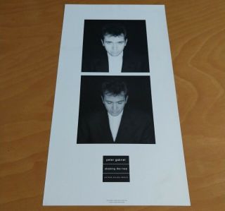 Peter Gabriel Robert Mapplethorpe 1990 Promo Poster Shaking The Tree Rare