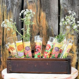 Vintage Large Glass Test Tubes With Seed Labels Vase Growing Seeds