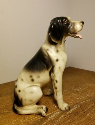 Antique / Vtg.  Bisque Porcelain Dog,  Pointer Upland,  Retriever,  Hunt /gun Dog