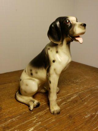 Antique / Vtg.  Bisque Porcelain Dog,  Pointer Upland,  Retriever,  Hunt /Gun Dog 2