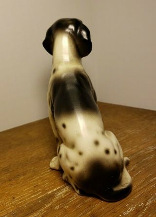 Antique / Vtg.  Bisque Porcelain Dog,  Pointer Upland,  Retriever,  Hunt /Gun Dog 3