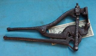 Antique 188? Rare Unusual Hoof Trimer Nipper Tool