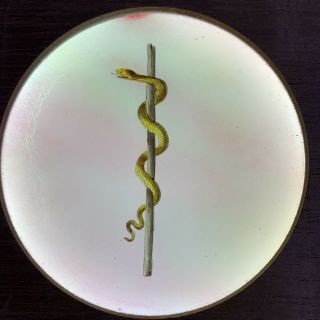 Antique Magic Lantern Wood Framed Slide Odd Fellows Masonic Snake Stick Symbol