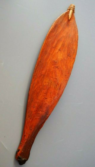 Good Small Oceanic Australian Aboriginal Carved Wooden Spear Thrower Woomera Nr