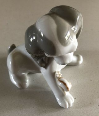 Lladro Dog And Snail Prototype,  Rare No Chips,