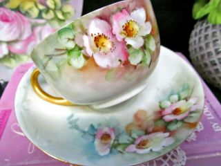 Germany hand painted blossom pink tea cup and saucer German porcelain teacup 1 2