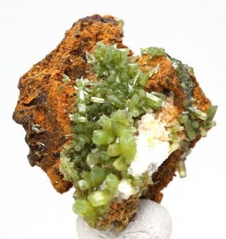 Rare Green Pyromorphite Crystal Cluster Cabinet Mineral Specimen Thumbnail