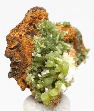 RARE Green PYROMORPHITE Crystal Cluster Cabinet Mineral Specimen Thumbnail 2
