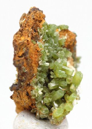 RARE Green PYROMORPHITE Crystal Cluster Cabinet Mineral Specimen Thumbnail 3