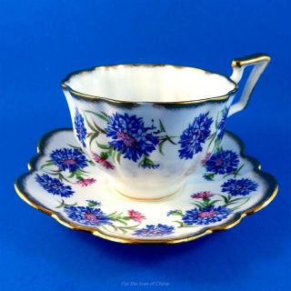 Bright Blue Cornflowers " Harvest Time " Salisbury Tea Cup And Saucer Set