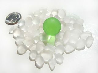 Nova Scotia Beach Sea Glass - RARE Lime Green w/ Tiny Whites 2