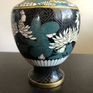 Antique Chinese Cloisonne Black Enamel White Peony Chrysanthemum Flower Vase NR 3