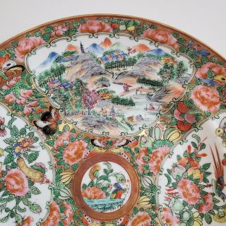 Antique Chinese Famille Rose Porcelain Charger Plate Birds Butterflies River 2