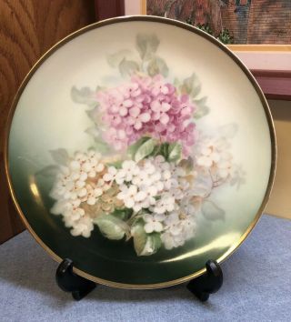 Vintage 8.  5” Hand Painted Hydrangea Plate,  Thomas Sevres Bavaria Signed By Artist