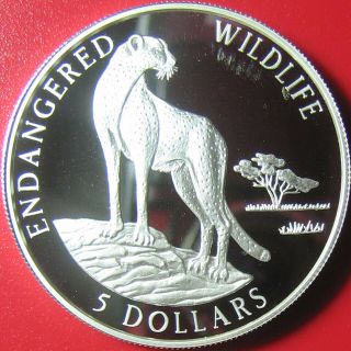 1996 Cook Islands $5 Silver Proof Cheetah Wild Cat Endangered Wildlife Rare Coin