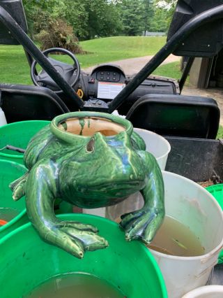 Rare Large Pottery Ceramic Garden Planter Frog