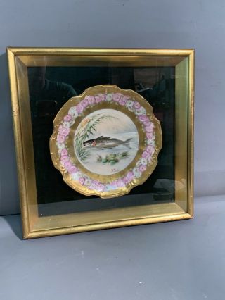 Ca.  1910 Antique FISH PLATE Old PAINTING on PORCELAIN Gold GILT Nautical DECOR 2