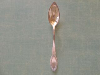 Antique Alvin Patent Spoon - Simple Wreath Pattern - 1900 