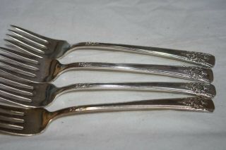 Wm Rogers Silver Plated Is Flatware " Mountain Rose " (8) Salad Forks 6.  5 "