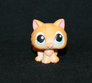 Littlest Pet Shop Lps Orange Kitten 47 Blue Eyes Rare Cat Kitty Tail (kt04)
