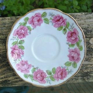 Queen Anne Bone China Saucer With Pink Roses Made In England