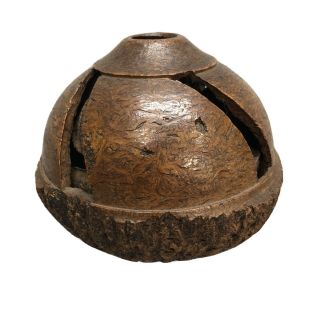 Antique Hand Carved Brazil Nut Pod Rattle - Vtg Case