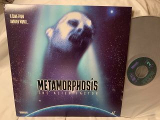 Metamorphosis - Laserdisc Vintage Rare Laser Disc Horror Thriller