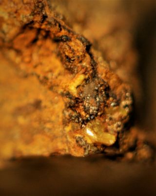 Bassetite Rare Uranium Micro - Crystals On Matrix Fine Micro Arcu Su Linnarbu