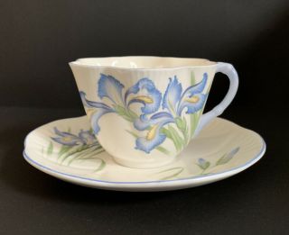 Rare Shelley China Blue Iris Dainty Tea Cup And Saucer 14062