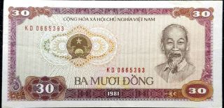 1981 Vietnam 30 Dong Banknote Unc Rare (, 1 B.  Note) D8665