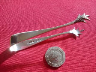 Lovely Little Antique Solid Silver Sugar Tongs With Bird Claw Ends Sheffield1904