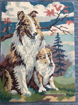 Completed Paint By Number Collie Dog And Puppy Sheltie Painting 12x16 Vtg