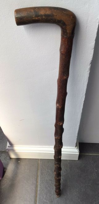 Antique Irish Blackthorn Walking Stick 32 " / 81.  5cm