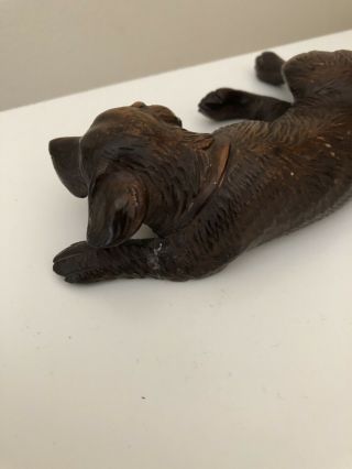 Black Forest Carved Dog Figure 15 cm Long Please Read Details 3