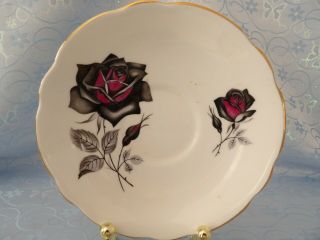 Royal Albert England Black Rose Tea Cup and Saucer - RARE 2