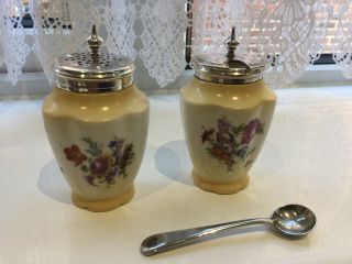 Lovely Antique George Jones Crescent China Silver Plated Condiment Pots
