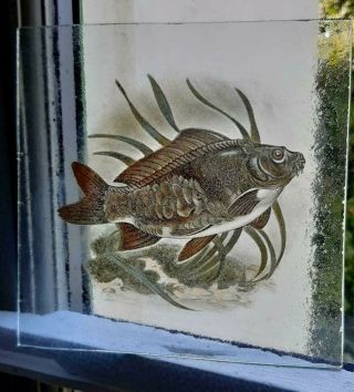 Stained Glass Mirror Carp Fish Kiln Fired Pane Fishing Gift 14.  5 Cm X 14.  5 Cm