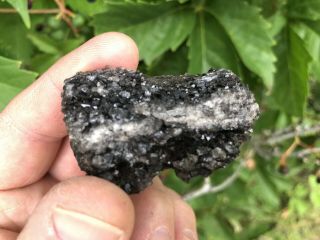 Reilly’s Rocks: Rare Dark Smoky Quartz On Arizona Petrified Wood