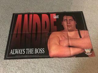 Vintage Wwf Andre The Giant 2 - Sided Poster 1993 Spotlight Wwe 1990s Rare
