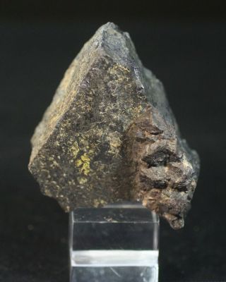 Large Columbite Crystal With Zircon Xls: Mica Lode Pegmatite,  Colorado - Rare