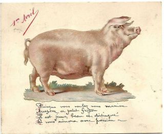 Grand Découpis Cochon Sur Carte 1er Avril De 13,  5 Cm X 11.  Rare Et Très Chouette.