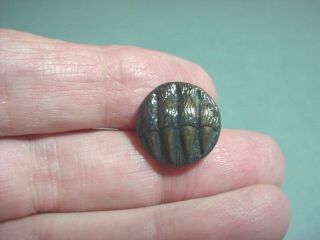 Small Antique Picture Button Of A Bear Claw